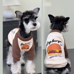 Teddy clothes dog pet sweatshirt Bichon raincoat