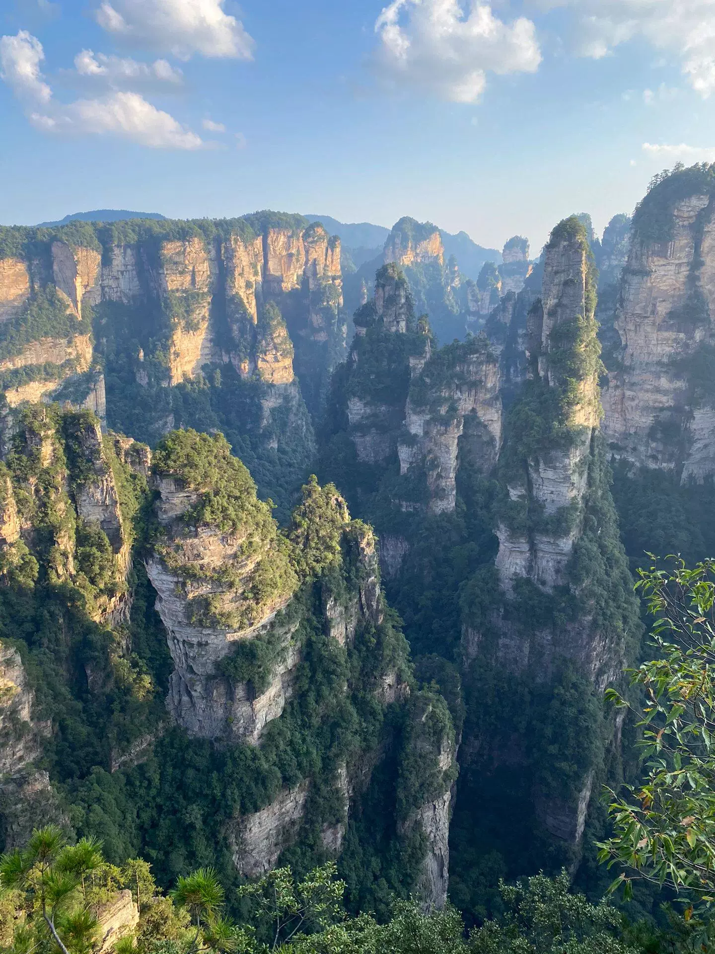 天子山森林公园图片