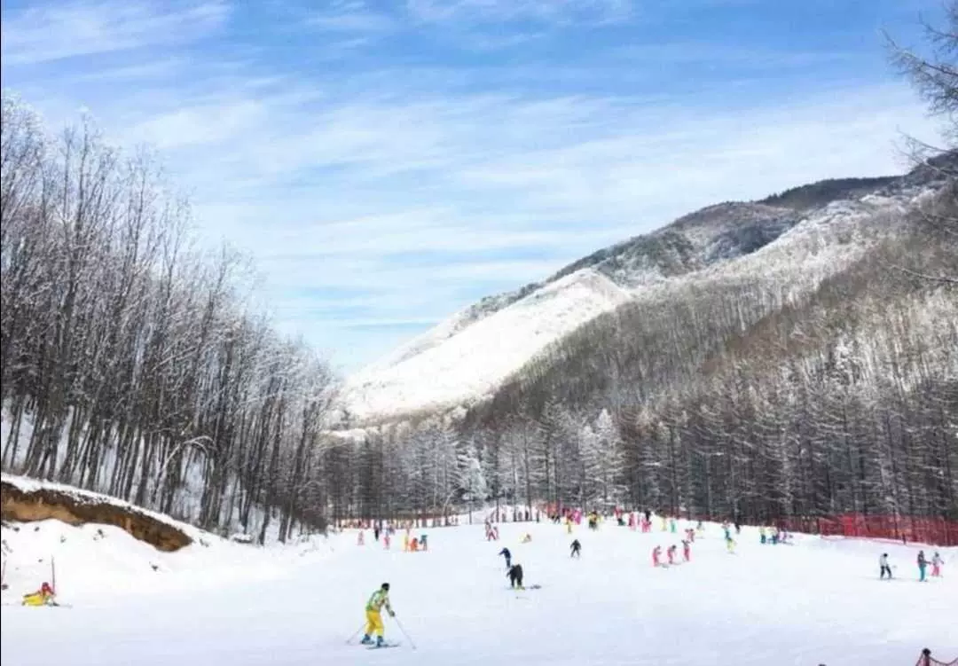 沈阳丁香湖CITYPARK滑雪公园奥悦戏雪嘉年华图片