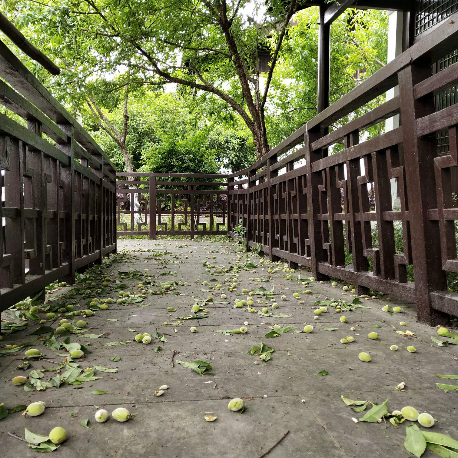 皋亭山千亩桃花园图片