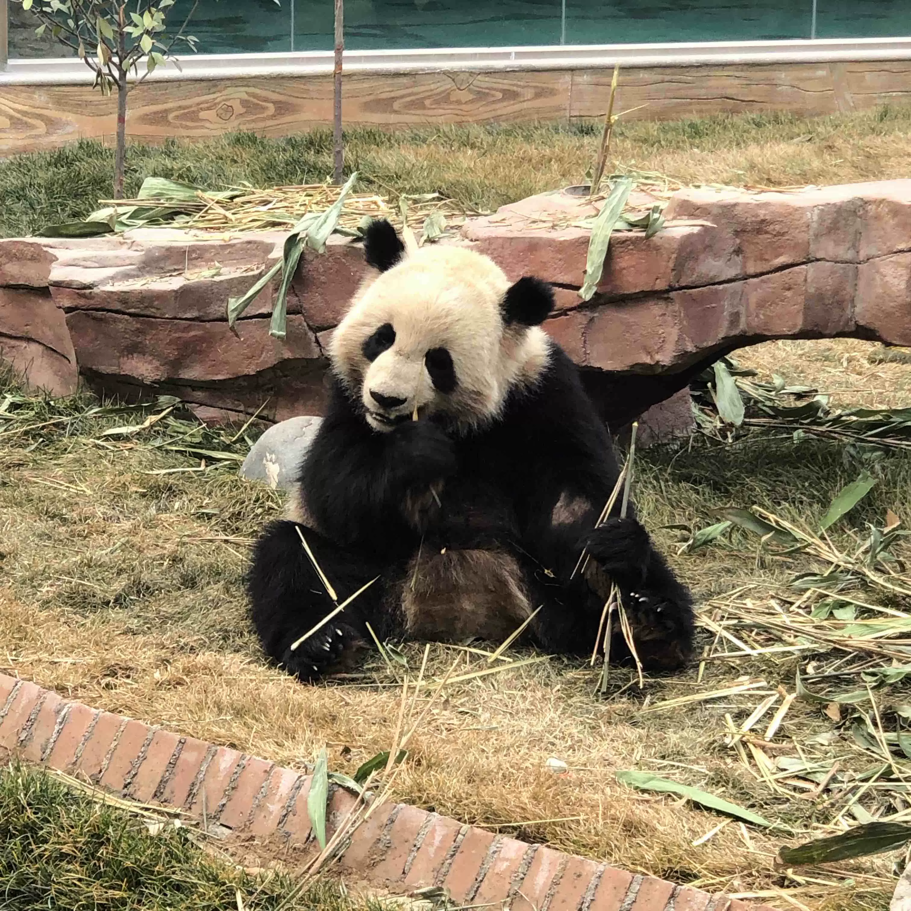 五龙山野生动物王国图片