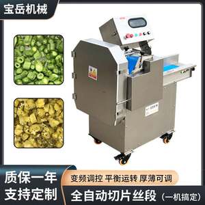 
Rhizome vegetable slice and shredding cabinet commercial shredding machine high power large diameter with panel dicing machine