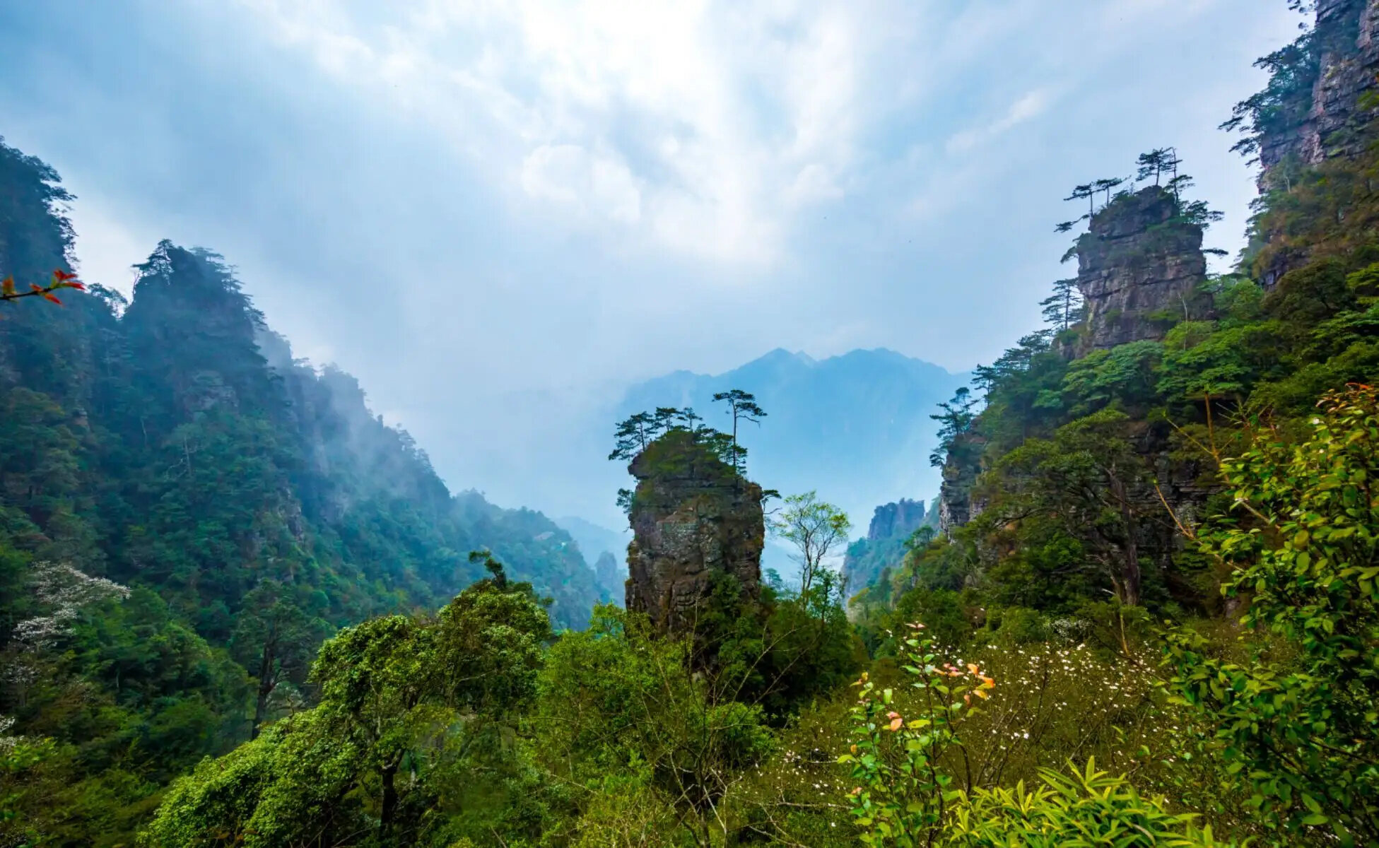 莲花山庄景区景区天气预报