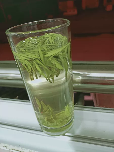 祁雅雀舌绿茶2023春茶特级茶叶礼盒装自己喝