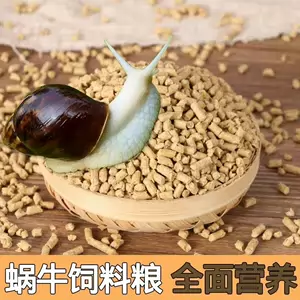 蜗牛钙粉- Top 100件蜗牛钙粉- 2024年4月更新- Taobao