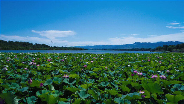 花塘官厅景区天气预报