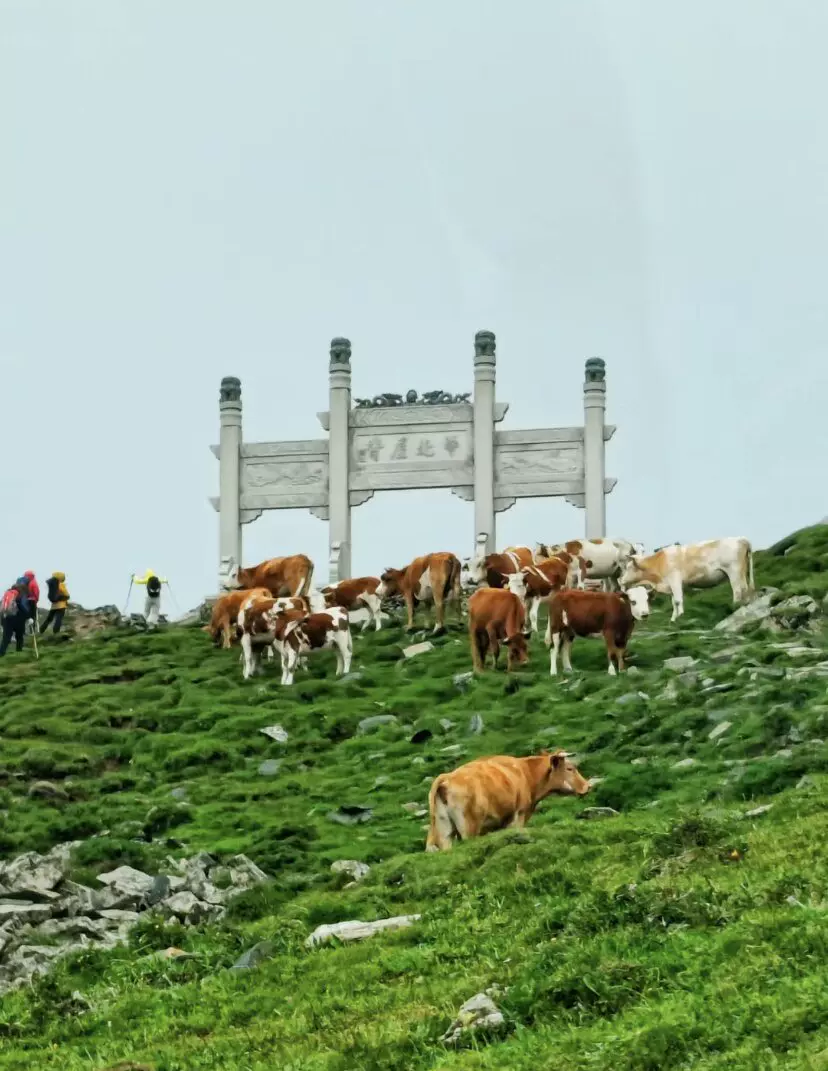 五台山北图片