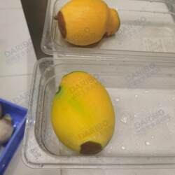 730 Model Mango Electric Peeling Machine Semi-Automatic Green Mango Peeler 304 Stainless Steel Water Lily Mango Peeling Machine W