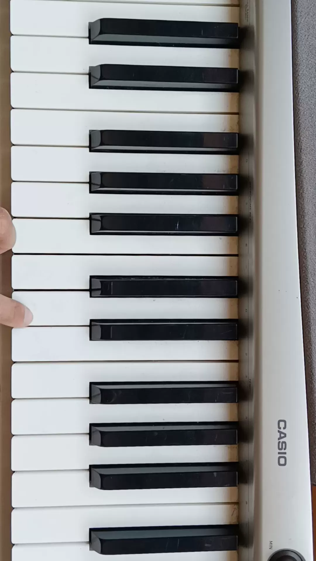 卡西欧CASIO PX120 88键重锤数码电钢琴-Taobao Vietnam