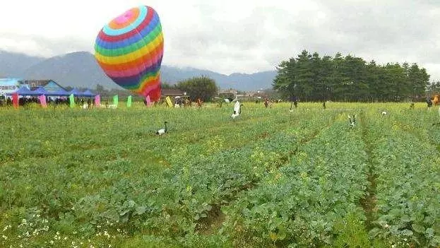 三坑油菜花稻草人乡村主题公园图片