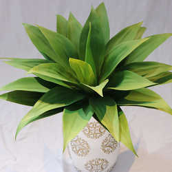 Simulated agave tiger piran fake green plant Nordic tropical desert plant agave succulent plant landscaping decoration