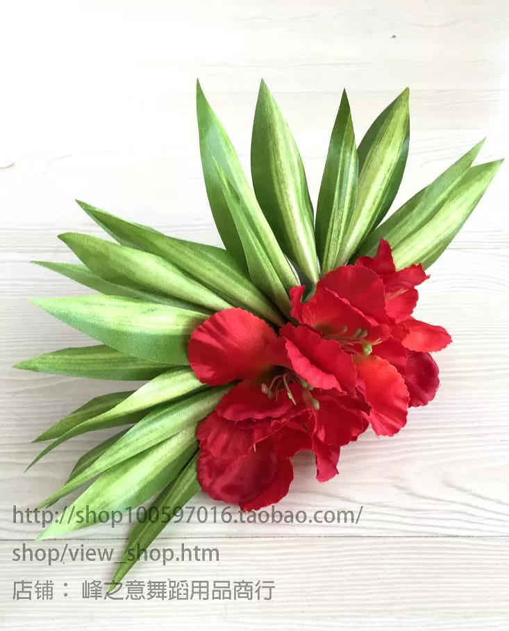 夏威夷现代草裙舞发饰头花coco头饰沙滩头饰hair Accessories