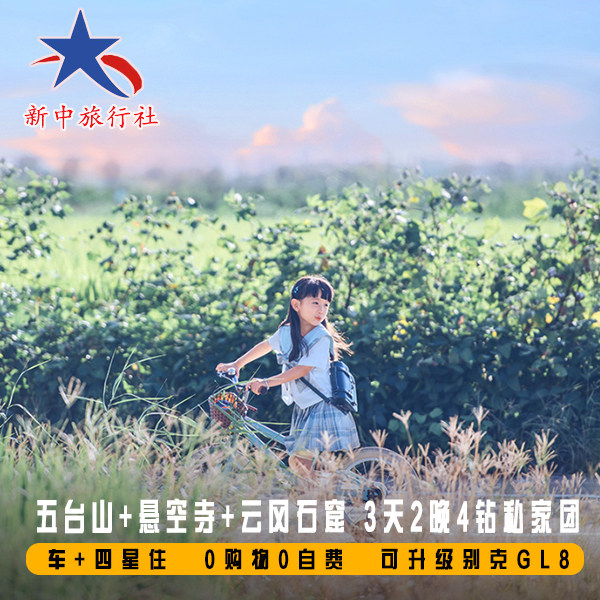 山西旅游太原五台山大同悬空寺云冈石窟3日私家团4钻酒店
