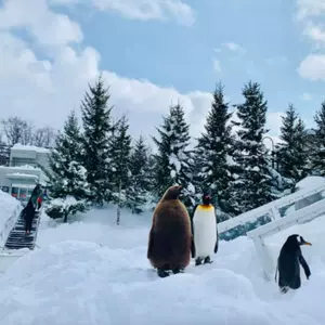 旭山動物園- Top 100件旭山動物園- 2024年4月更新- Taobao