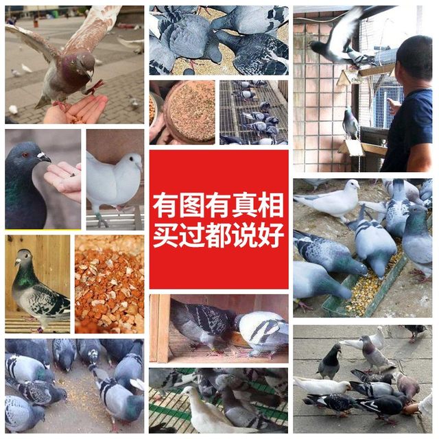 High calcium health care sand for pigeons health care sand red soil