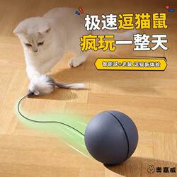 Cat Toys for Self-Entertainment, Boredom Relief, and Physical Activity: Mouse Teaser Stick, Cat Exercise Electric Automatic Teaser Ball, Cat Supplies