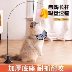 Cat Toy Teaser Stick with Suction Cup, Long Rod for Self-Entertainment and Boredom Relief, Complete Collection of Kitten Supplies