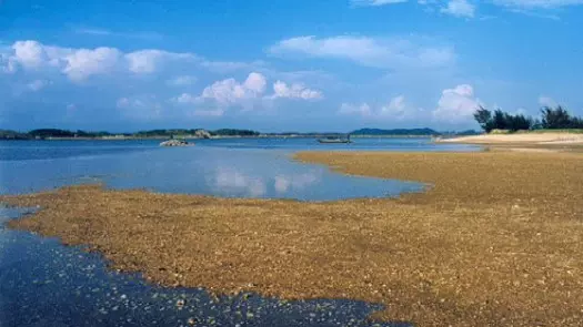 麻蓝岛图片