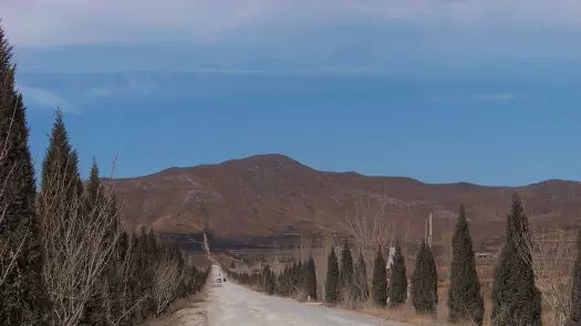 唐玄宗泰陵图片