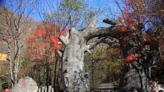 虎塘沟景区图片