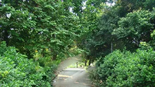 伯南公园图片