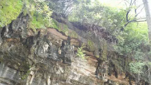 天慈峰林生态景区图片