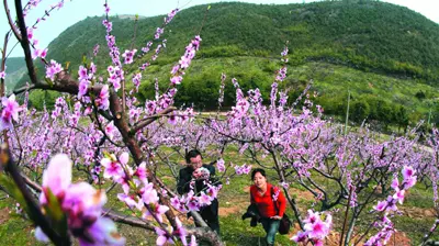 白鹭山庄图片