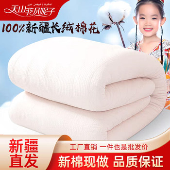 100%cotton quilt of Xinjiang cotton quilt whole cotton

