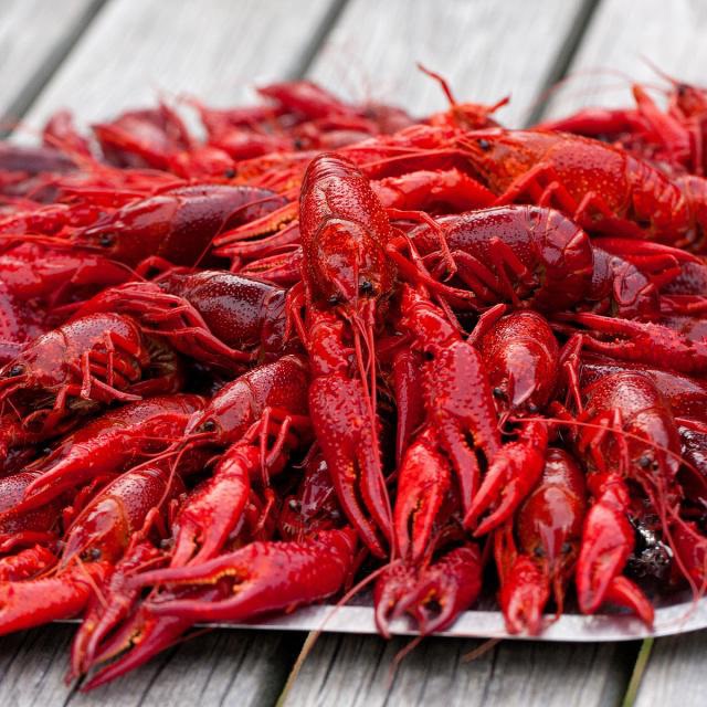 没有小龙虾的夏天是没有灵魂的！(图1)