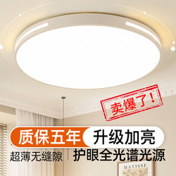 Full Spectrum Led Ceiling Light, Bedroom Light, Modern Simple and Elegant Living Room Light, Master Bedroom, Dining Room, Balcony Lighting Fixtures