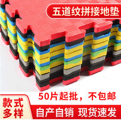 Taekwondo Floor Mat Professional Thickeneded Home Martial Arts Fighting and Sparring Boxing Foam Training Mat