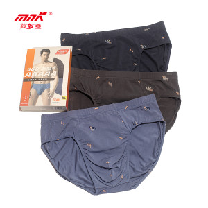 New Shanua Men's Underwear Bamboo Charcoal Soft Breathable Comfortable Thin Bag Bag Men's Three Corners Fashion Triangle Pants