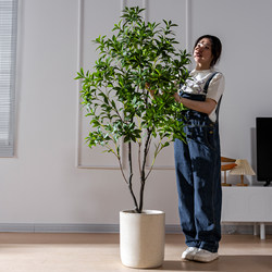 Large Artificial Green Plant Hanging Bell-Shaped Horse-Drunken Wood Indoor Store Potted Landscaping Bionic Fake Plant Window Display Floor Decoration