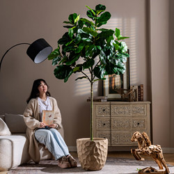Large High-End Artificial Plant, Ficus Lyrata, Indoor Living Room Fake Tree, Floor-Standing Potted Plant, Bionic Green Plant Decoration Ornament