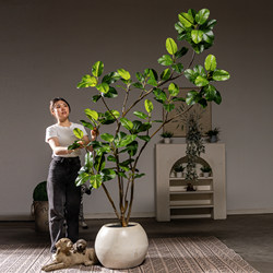 Bengali Banyan Tree Artificial Green Plant Indoor High-End Fake Tree Landscape Ornament Bionic Plant Floor-Standing Potted Decoration