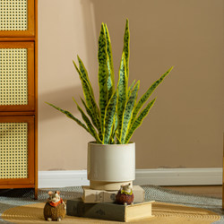 Artificial Plant Golden-Edged Snake Plant Indoor Living Room Floor-Standing Bonsai Ornament, Simulated Fake Green Plant for Landscape Decoration, Small Potted Plant