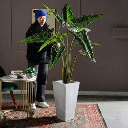 New Artificial Plant Salian Calla Lily Potted Fake Tree Indoor Living Room Bionic Green Plant Landscape Decoration Ornament