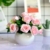 Flower color cored rose/pink + round pot 