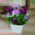 Fluorescent green carnation/purple+small square 