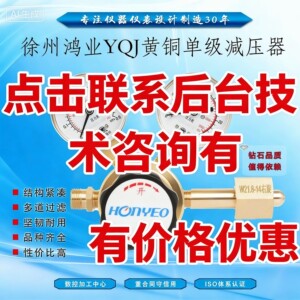 
Xuzhou Hongye pressure reducing valve YQJ-1 standard gas pressure reducing valve nitrogen argon oxygen CoCo2 air reducing valve