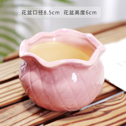 Succulent Flower Pot, Ceramic, Large Size, Special Clearance Price, Breathable, Creative, Indoor Succulent Plant Small Flower Pot, Large Diameter 