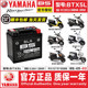 Suitable for Yamaha NMAX155 NVX155 XMAX300 NMAX155 MT03 R3 R25 battery