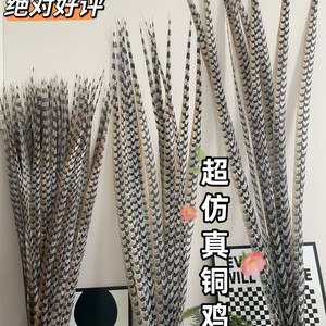 
Opera, Peel, Peking Opera, Henan Opera, Sun Wukong, Wusheng, Huafeng, stage performance, pheasant feather feather feather feather feather feather feather feather performance decoration