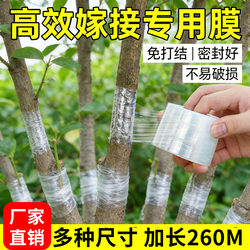 Grafting Film, Special Film for Fruit Tree Grafting, Self-Adhesive Garden Tape, Wrapping Plastic Film, Wrapping Film, Binding Film, Thin Film