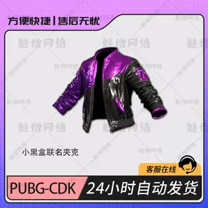 PUBG Skin Purple Periwinkle Hoodie » PUBG Skin CDK/ Code