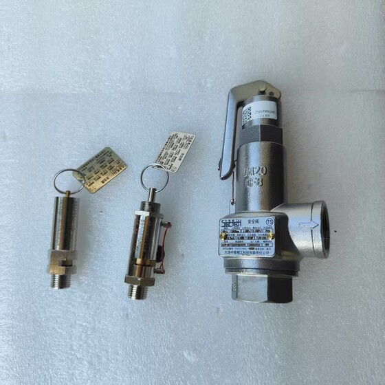 
Shandong Xinhua Medical Sterilizer DN15/20/25 Dalian Zhongzhi Seiko A17W-16P Safety Valve 0.28