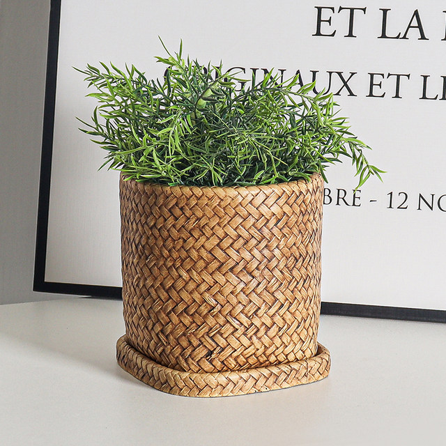 Cement flower pot Nordic style simple creative personality large diameter green plant potted green radish succulent wabi-sabi flower pot