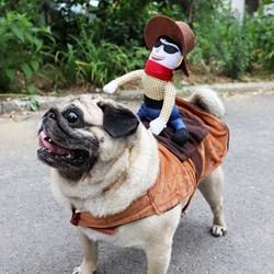 Funny Halloween Costumes for Pets Dick Cowboy Riding Costumes Medium and Large Dogs Dog Clothes and Pet Supplies
