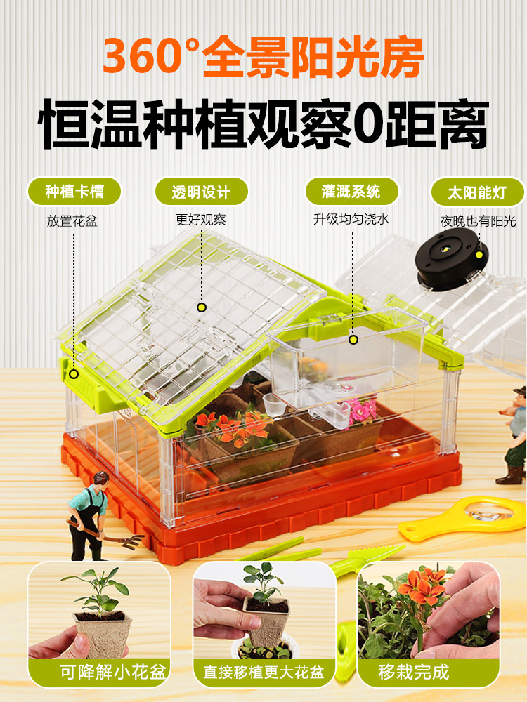 ডঃ ডল প্ল্যান্টিং সায়েন্স কিট