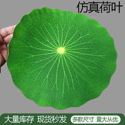Simulated Lotus Leaf Plastic Green Leaves for Fruit Shop Decoration, Buffet, Barbecue, Seafood Mat Paper, Cold Dish Garnish, and Border Decoration